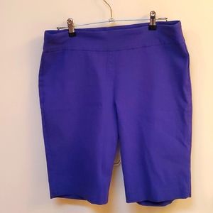 Blue burmuda shorts